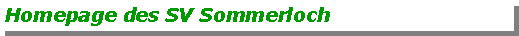 Textfeld: Homepage des SV Sommerloch
Spielergebnisse SG Braunweiler-Sommerloch im